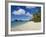 Trunk Bay, St. John, U.S. Virgin Islands, West Indies, Caribbean, Central America-Gavin Hellier-Framed Photographic Print