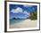 Trunk Bay, St. John, U.S. Virgin Islands, West Indies, Caribbean, Central America-Gavin Hellier-Framed Photographic Print