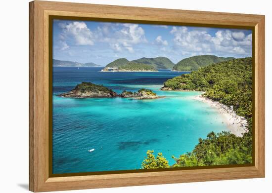 Trunk Bay, St John, United States Virgin Islands.-SeanPavonePhoto-Framed Premier Image Canvas