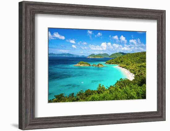 Trunk Bay, St John, United States Virgin Islands.-SeanPavonePhoto-Framed Photographic Print