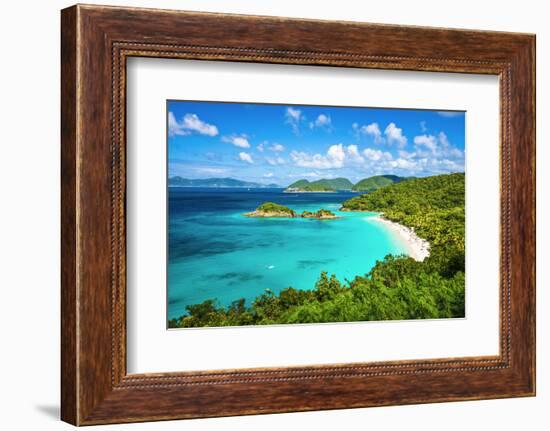 Trunk Bay, St John, United States Virgin Islands.-SeanPavonePhoto-Framed Photographic Print