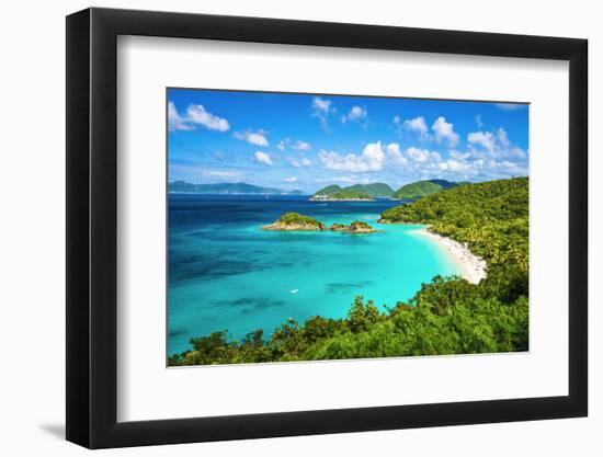 Trunk Bay, St John, United States Virgin Islands.-SeanPavonePhoto-Framed Photographic Print