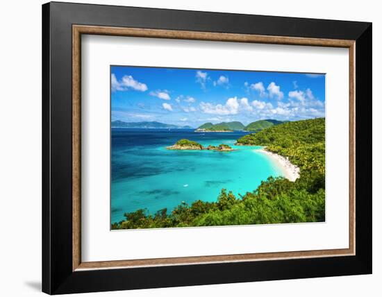 Trunk Bay, St John, United States Virgin Islands.-SeanPavonePhoto-Framed Photographic Print