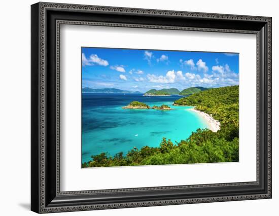 Trunk Bay, St John, United States Virgin Islands.-SeanPavonePhoto-Framed Photographic Print