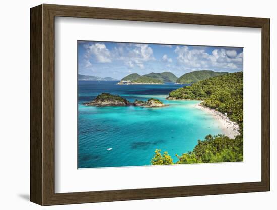 Trunk Bay, St John, United States Virgin Islands.-SeanPavonePhoto-Framed Photographic Print