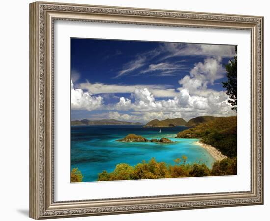 Trunk Bay-J.D. Mcfarlan-Framed Photographic Print