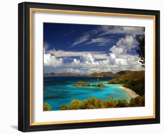 Trunk Bay-J.D. Mcfarlan-Framed Photographic Print