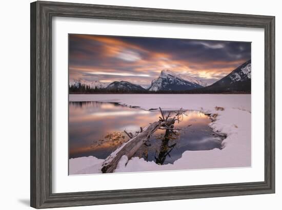 Trunk in Hot Spring-Michael Blanchette Photography-Framed Giclee Print