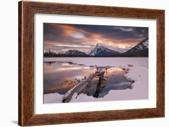 Trunk in Hot Spring-Michael Blanchette Photography-Framed Giclee Print