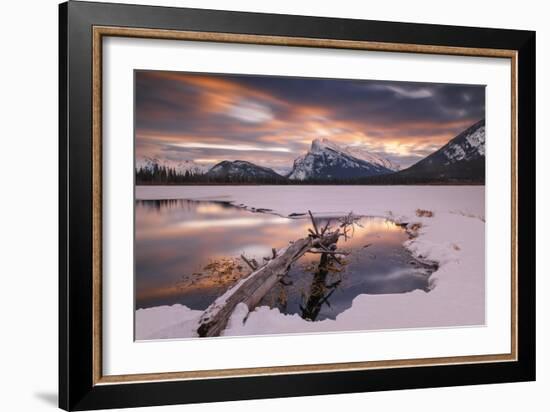 Trunk in Hot Spring-Michael Blanchette Photography-Framed Giclee Print