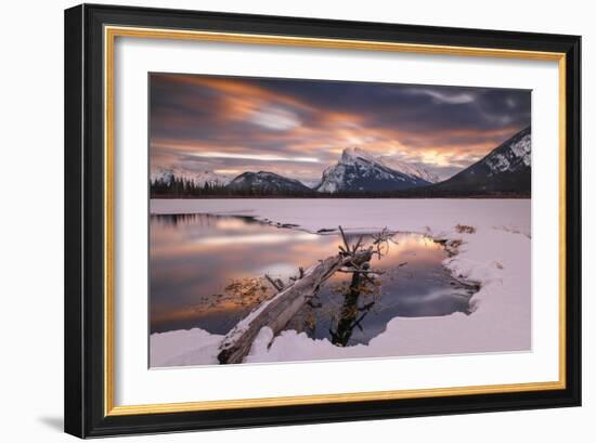 Trunk in Hot Spring-Michael Blanchette Photography-Framed Giclee Print