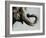 Trunk Space-Sydney Edmunds-Framed Giclee Print