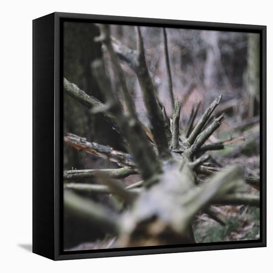 Trunk with broken branches,-Nadja Jacke-Framed Stretched Canvas