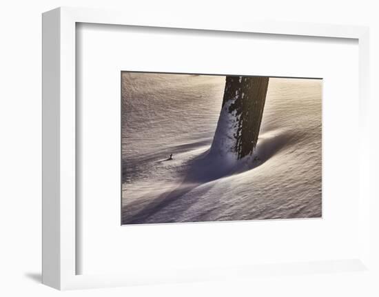 Trunk with snowdrift, light, artistically, medium close-up, detail-Martin Ley-Framed Photographic Print