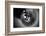 Trunk-Antje Wenner-Braun-Framed Photographic Print