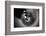 Trunk-Antje Wenner-Braun-Framed Photographic Print