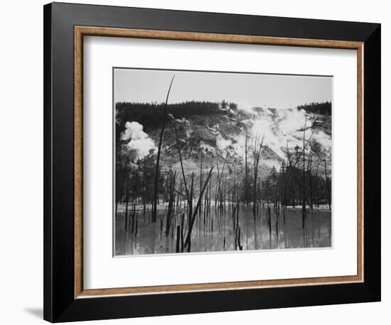 Trunks Rising From Water, Stream Rising From Mts, Roaring Mt Yellowstone NP Wyoming 1933-1942-Ansel Adams-Framed Art Print