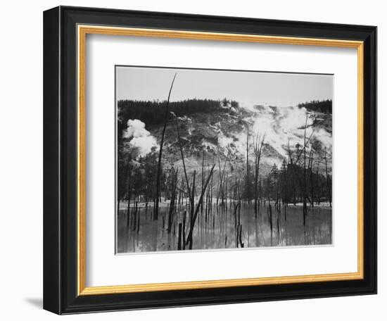 Trunks Rising From Water, Stream Rising From Mts, Roaring Mt Yellowstone NP Wyoming 1933-1942-Ansel Adams-Framed Art Print