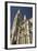 Truro Cathedral, Cornwall, 2009-Peter Thompson-Framed Photographic Print