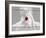 Truzz-Fabio Panichi-Framed Photographic Print