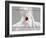 Truzz-Fabio Panichi-Framed Photographic Print