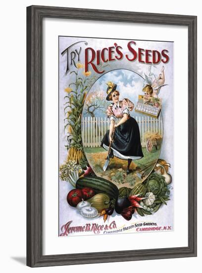 Try Rice's Seeds Cambridge-null-Framed Premium Giclee Print