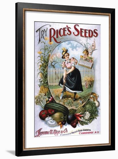 Try Rice's Seeds Cambridge-null-Framed Premium Giclee Print