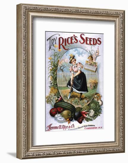 Try Rice's Seeds Cambridge-null-Framed Art Print