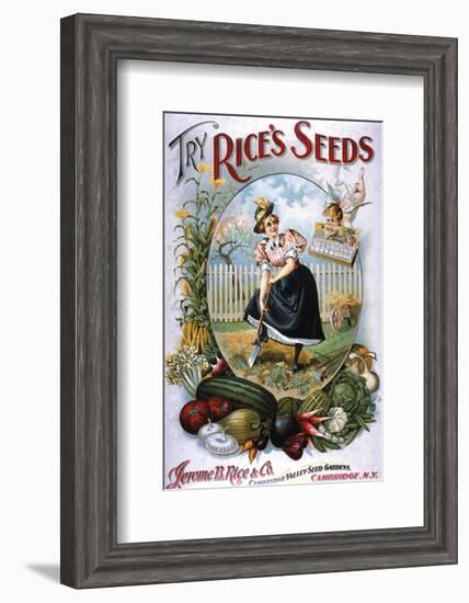 Try Rice's Seeds Cambridge-null-Framed Art Print