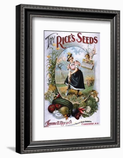 Try Rice's Seeds Cambridge-null-Framed Art Print