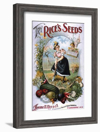 Try Rice's Seeds Cambridge-null-Framed Art Print