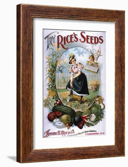 Try Rice's Seeds Cambridge-null-Framed Art Print