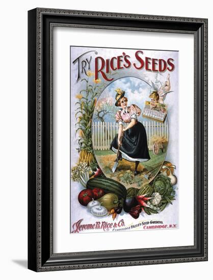 Try Rice's Seeds Cambridge-null-Framed Art Print