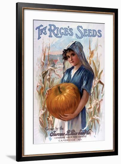 Try Rice's Seeds Cambridge-null-Framed Art Print