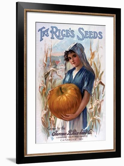 Try Rice's Seeds Cambridge-null-Framed Art Print