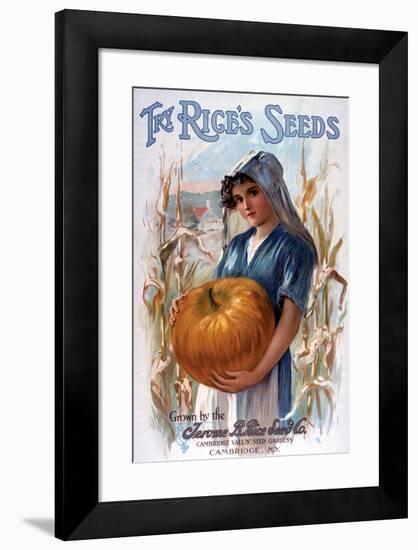 Try Rice's Seeds Cambridge-null-Framed Art Print