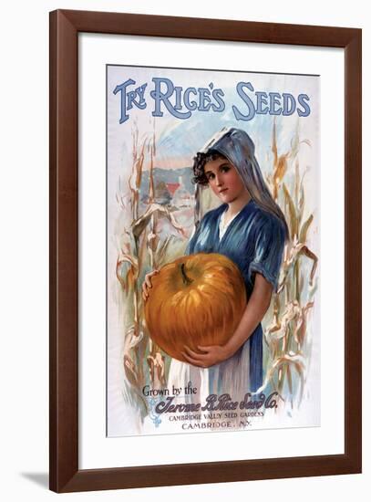 Try Rice's Seeds Cambridge-null-Framed Art Print