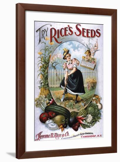 Try Rice's Seeds Cambridge-null-Framed Art Print