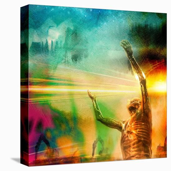 Stretched Canvas Print, , large