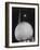 Trylon and Perisphere, the New York World's Fair's Focal Point, Flushing Meadows, New York-David Scherman-Framed Photographic Print