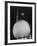 Trylon and Perisphere, the New York World's Fair's Focal Point, Flushing Meadows, New York-David Scherman-Framed Photographic Print