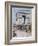 Tsar Nicholas II Arrives in Paris, 1896-Henri Meyer-Framed Giclee Print