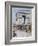 Tsar Nicholas II Arrives in Paris, 1896-Henri Meyer-Framed Giclee Print