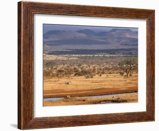 Tsavo National Park, Kenya, East Africa, Africa-Storm Stanley-Framed Photographic Print