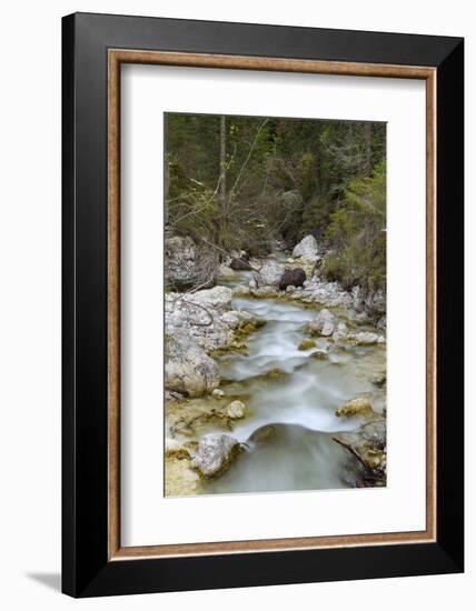 Tschamin Valley, Valle di Ciamin, in the Rosengarten, Catinaccio mountain range.-Martin Zwick-Framed Photographic Print