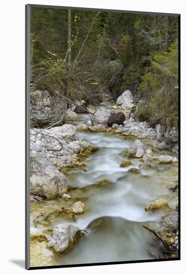 Tschamin Valley, Valle di Ciamin, in the Rosengarten, Catinaccio mountain range.-Martin Zwick-Mounted Photographic Print