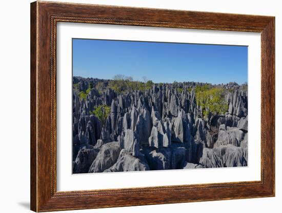 Tsingy de Bemaraha National Park, Melaky Region, Western Madagascar-Carlo Morucchio-Framed Photographic Print