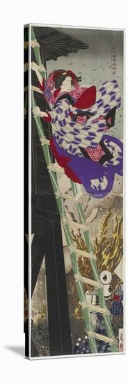 Stretched Canvas Print, , large