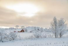 Farm Barn in a Cold Winter Landscape with Snow and Frost-TTphoto-Mounted Photographic Print