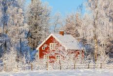 Red Cottage in Winter Forest with Frost and Snow-TTphoto-Photographic Print